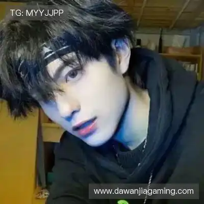 王甫锴